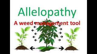 Allelopathy  Tool for Weed Management [upl. by Danika]