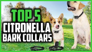 ✅Top 5 Best Citronella Bark Collars in 2024 [upl. by Onitselec]