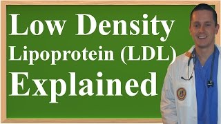 Low Density Lipoprotein LDL Explained [upl. by Nauqal299]