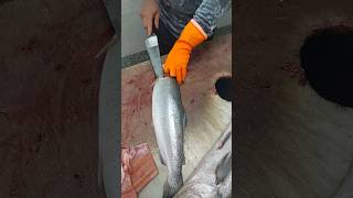 How to Fillet a Fish Salmon A Beginners Guide [upl. by Merralee743]