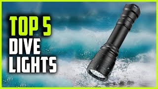 Best Dive Lights 2024  Top 5 Scuba Dive Lights [upl. by Atinet]