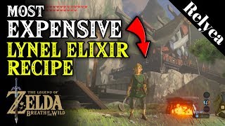 Most Expensive Elixir Recipe in the Legend of Zelda Breath of the Wild [upl. by Adym]