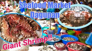 Dagupan Seafood Market “Huge Shrimpsquot Philippines [upl. by Llecram424]