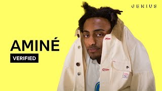 Aminé quotSpice Girlquot Official Lyrics amp Meaning  Verified [upl. by Thgirw58]