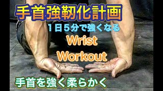 １日５分の手首強靭化計画‼Wrist Workout [upl. by Lacie]