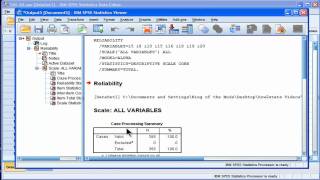 Cronbachs Alpha  SPSS part 1 [upl. by Ennaid]