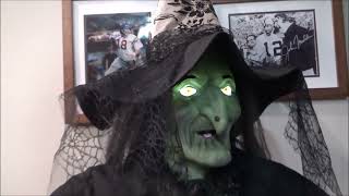 Gemmy 2010 Cottage Coven Witch Life Size Animatronic [upl. by Fennie44]