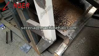 How Does a Sunflower Seed Dehuller Machine Work [upl. by Flossy]