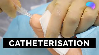 Catheterisation  OSCE Guide  UKMLA  CPSA [upl. by Fulcher]