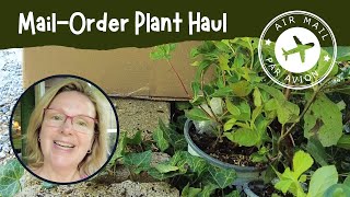 Unboxing a Plant Haul from GreatGardenPlantscom  Garden Vlog July 2024 Week 3 [upl. by Aniratac685]