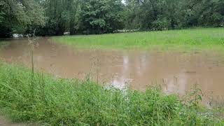 Hochwasser Neckar bei ReutlingenMittelstadt Pliezhausen am 02062024 [upl. by Ayanat860]