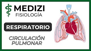 Clase 38 Fisiología Respiratoria  Circulación Pulmonar Edema Pulmonar IGdoctorpaiva [upl. by Kirby420]