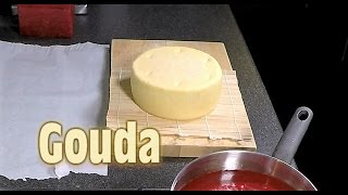 How to make Gouda [upl. by Ynitsed561]