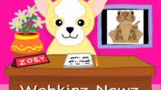 Webkinz Newz [upl. by Atiuqram]