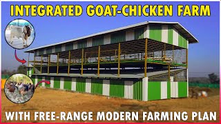 Integrated Goat and Poultry Farming Shed  Simple Integrated  Free Range Goat and Chicken Farm [upl. by Kasper668]