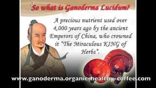 The Power of Ganoderma [upl. by Irem]