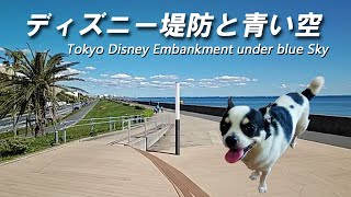 裏 ディズニー 堤防 穴場 絶景 マル秘 デートスポット 牛柄チワワ うしし丸 東京湾 浦安 Tokyo Disney embankment bay area view spot [upl. by Primo]