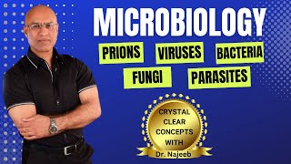 Microbiology  Prions Viruses Bacteria Fungi amp Parasites👨‍⚕️ [upl. by Disraeli]