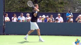 Tomas Berdych Slow Motion Forehand amp Backhand 240FPS 1080p [upl. by Ttereve718]