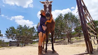 Maya gives Ace a nice big sandy hug at Alveus [upl. by Mcnalley]