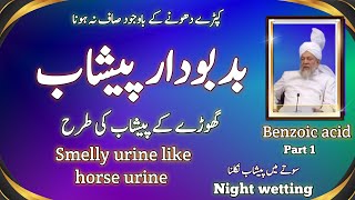 Smelly urine like horses urine  Night wetting  Benzoic acid  badboo dar pishaab [upl. by Mata613]