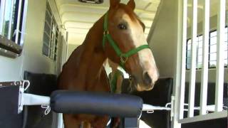 Used Fautras Oblic2 two stalled Horse Trailer available from JSW [upl. by Noirred]