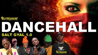 Dancehall Mix 2024 Clean Dancehall Songs 2024 │ SALT GYAL Masicka Chronic Law Alkaline Valiant [upl. by Grega]