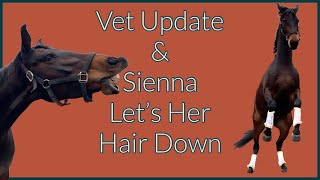 Horses Vet Update amp Sienna Let’s Her Hair Down [upl. by Abram]