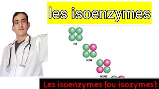 les isoenzymes [upl. by Atirahc269]