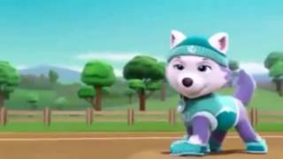 PAW PATROL Chase x Everest tribute 1 [upl. by Centonze]