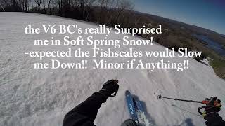 Voile V6BC Skis Soft Spring Snow [upl. by Renie526]