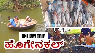 Hogenakkal Falls Boating Oil Massage Fish Fry  Best tourist place in Tamil Nadu  One day Trip [upl. by Brady]