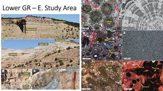 Lacustrine Microbial Mineralization Dr Maxwell Pommer Premier Oilfield Group [upl. by Evonne925]