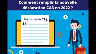 Remplir sa déclaration CA3 [upl. by Ntsud]