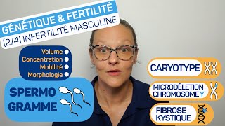 Les bases du bilan de fertilité  Spermogramme et indication danalyses génétiques [upl. by Owades]