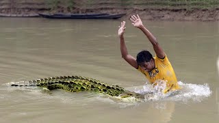 Crocodile Attack Hunter at Fishing Time  Fun Made Movie of Crocodile Attack [upl. by Kroy]