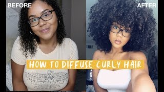 HOW TO DIFFUSE CURLY HAIR  Achieving Volume [upl. by Oker]