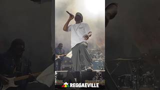 Busy Signal  Reggae Jam 2024 [upl. by Nahgam90]