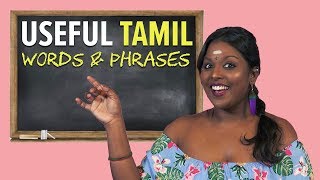 Basic Tamil Words amp Phrases You Should Know By Now  NANDINI SAYS [upl. by Archibald]