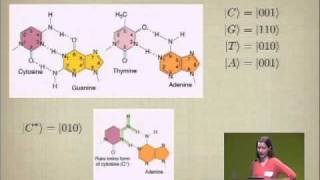 Classical and Quantum Information in DNA Google Workshop on Quantum Biology [upl. by Ecille]