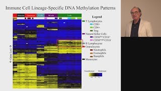 MethylationSpecific Droplet Digital™ PCR to Study Immune Cell Subtypes [upl. by Gherlein283]