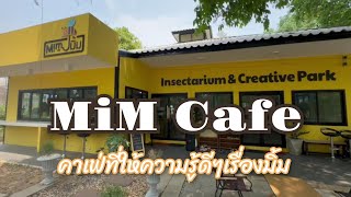 Mim Insectarium amp Creative park at KKU [upl. by Tedd]