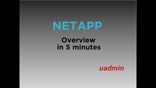 NetApp ONTAP CLUSTER overview in less than 5 minutes [upl. by Naiva15]