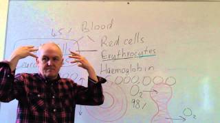 The Role of Red Blood Cells in Anemia [upl. by Lamont464]