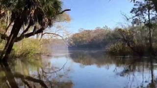 Exploring the Unchartered Waters of the Apalachicola River Captain Krista Millers hometown [upl. by Akihdar]