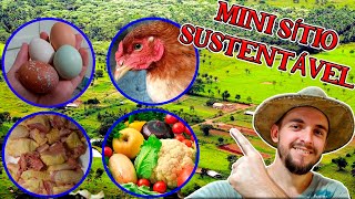 MINI SÍTIO SUSTENTÁVEL  PRODUZIMOS 90 DA NOSSA COMIDA AQUI  Mini Sítio [upl. by Einnob]