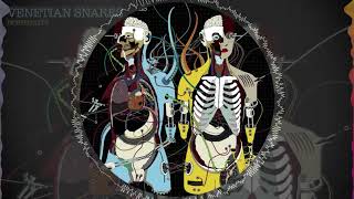 Venetian Snares  Frictional Nevada visual [upl. by Stolzer]