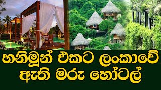 හනිමුන් එකට කියපු තැන්  best honeymoon hotels in sri lanka  best honeymoon hotels in sri lanka [upl. by Notlehs]