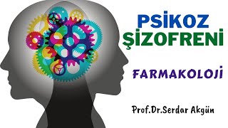 Psikoz Şizofreni Belirtiler Tedavi İlaçlar Farmakoloji ProfDrSerdar Akgün Tıp [upl. by Tran]