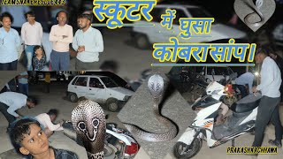 पार्थ कॉलोनी मनासास्कूटर में घुसा कोबरा बड़ा हादसा टलाCobra enters scooter [upl. by Nonnah]